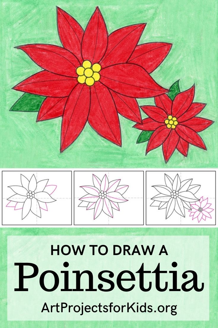 Easy How to Draw a Poinsettia Tutorial and Poinsettia Coloring Page