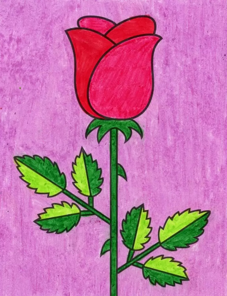 A drawing of a rose, made with the help of an easy step by step tutorial.