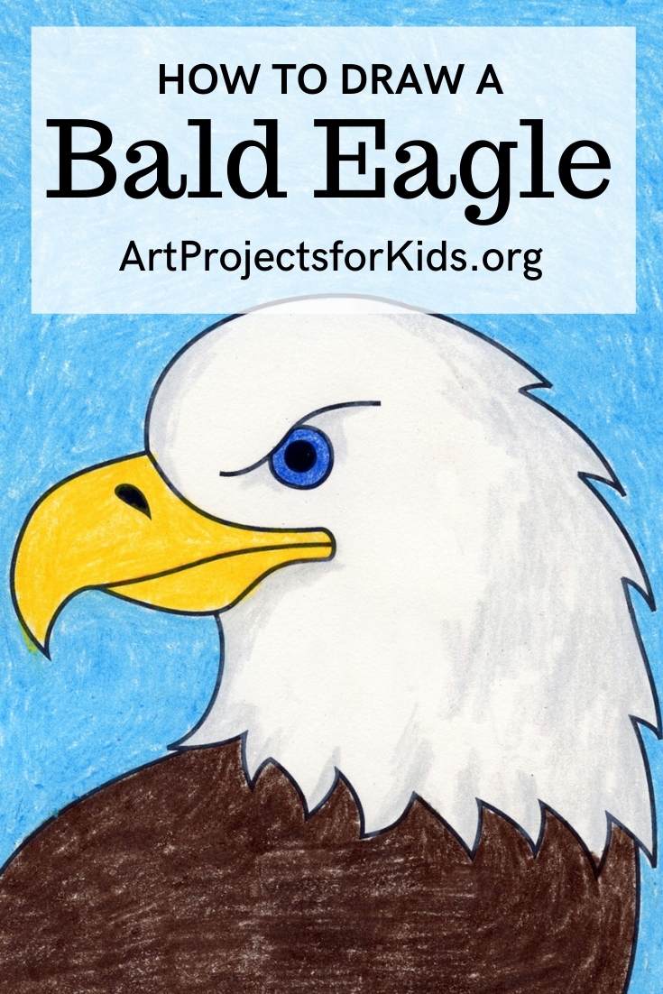 How to Draw a Bald Eagle Head · Art Projects for Kids