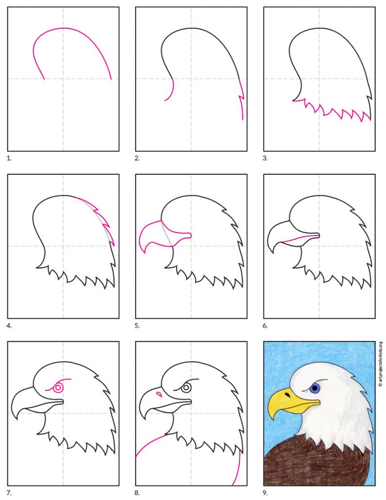 Easy How to Draw a Bald Eagle Tutorial and Bald Eagle Coloring Page