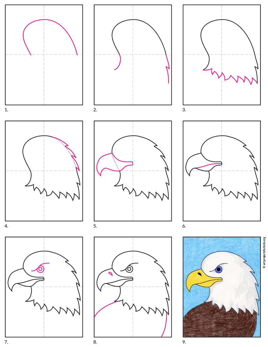 how to draw a eagle step by step easy