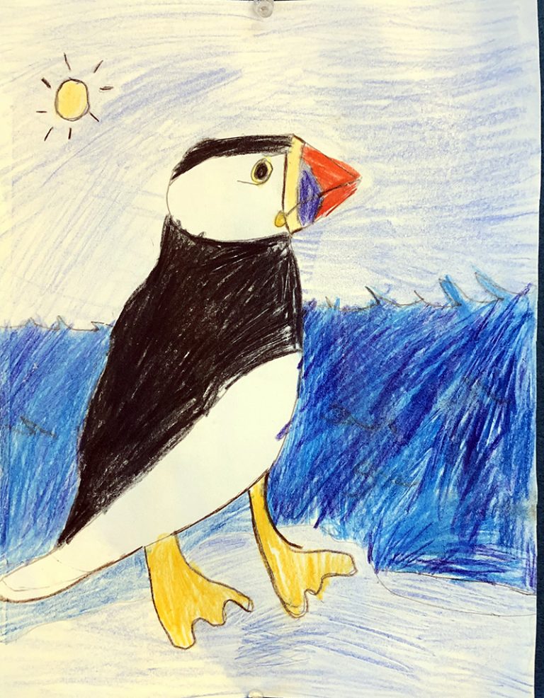 Easy How to Draw a Puffin Tutorial and Puffin Coloring Page