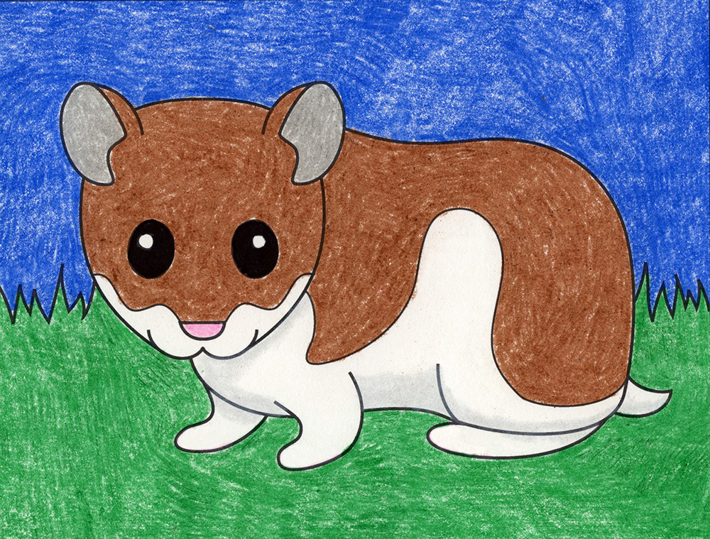 Easy How to Draw a Hamster Tutorial and Hamster Coloring Page