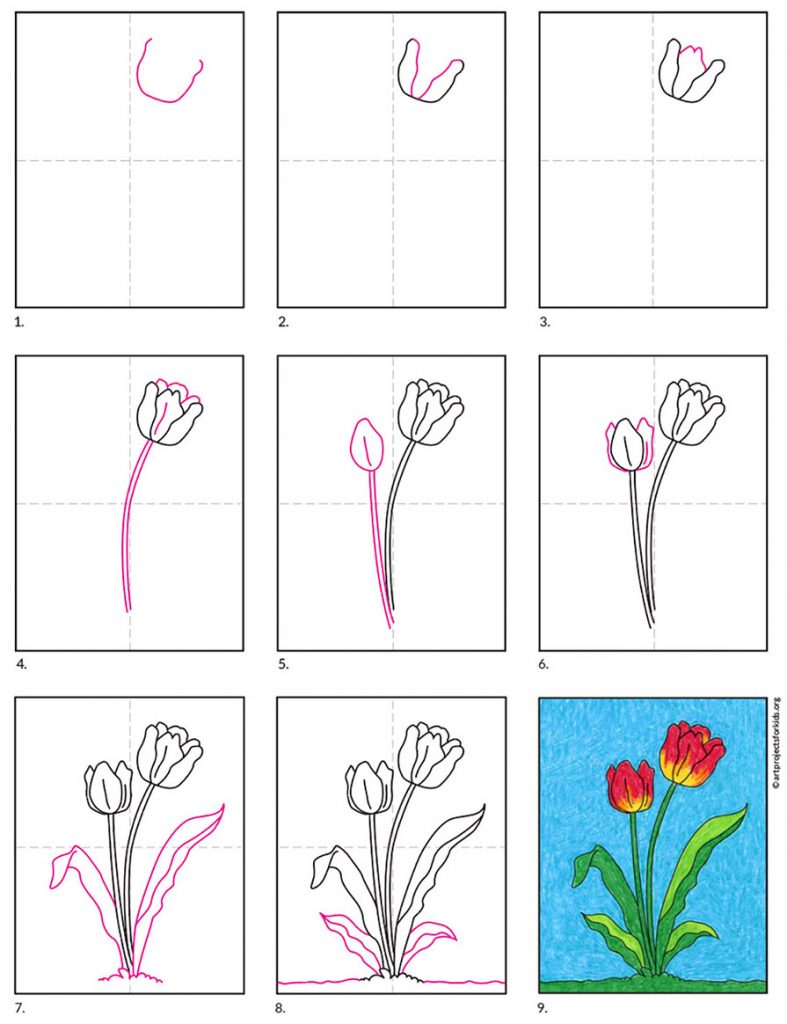 Easy How to Draw a Tulip Tutorial Video and Tulip Coloring Page