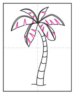 Easy How to Draw a Palm Tree Tutorial & Palm Tree Coloring Page