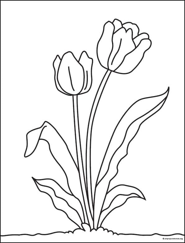 Easy How to Draw a Tulip Tutorial Video and Tulip Coloring Page