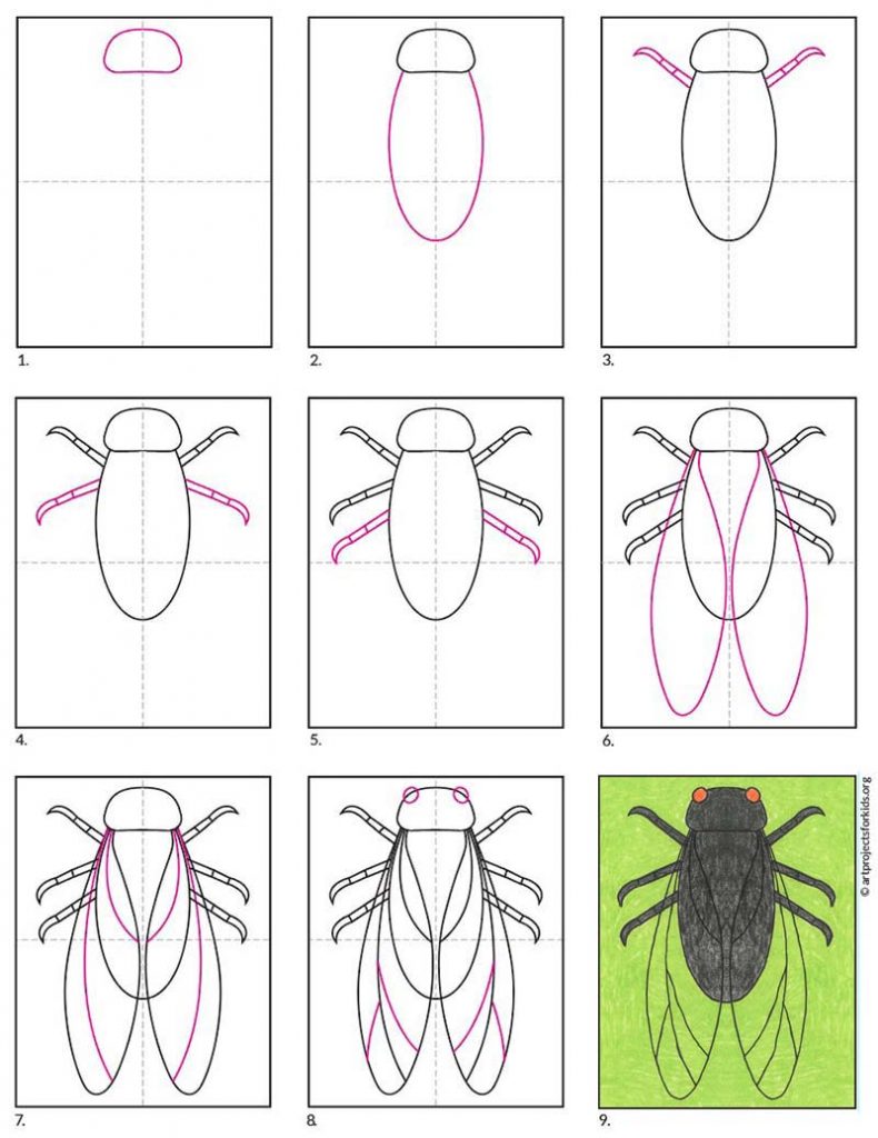 How to draw a cicada