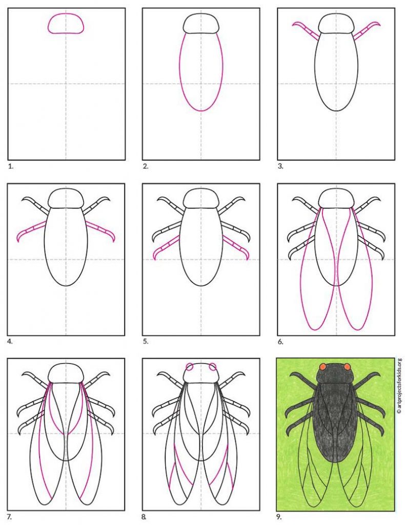 Easy How to Draw a Cicada Tutorial and Cicada Coloring Page · Art