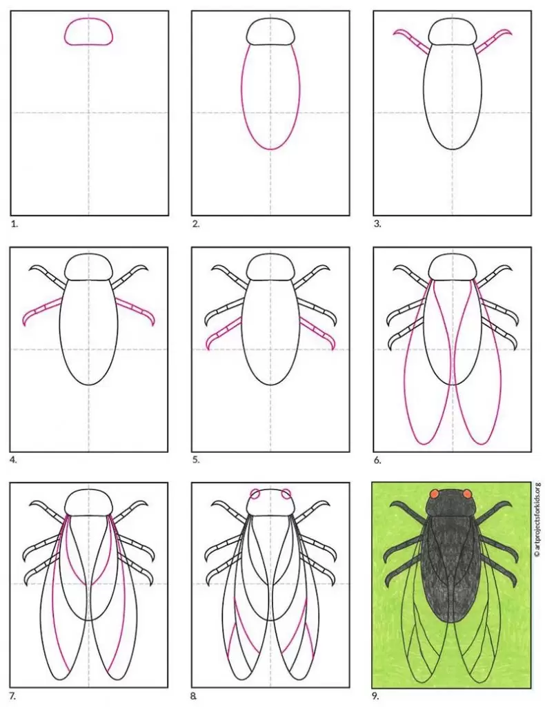 How to draw a cicada
