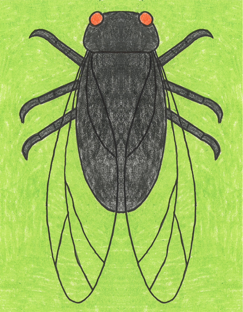 Easy How to Draw a Cicada Tutorial and Cicada Coloring Page