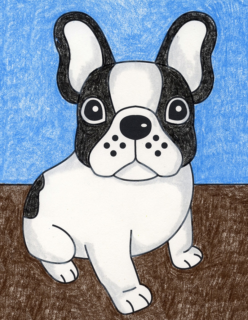 Easy How to Draw a French Bulldog Tutorial and French Bulldog Coloring Page