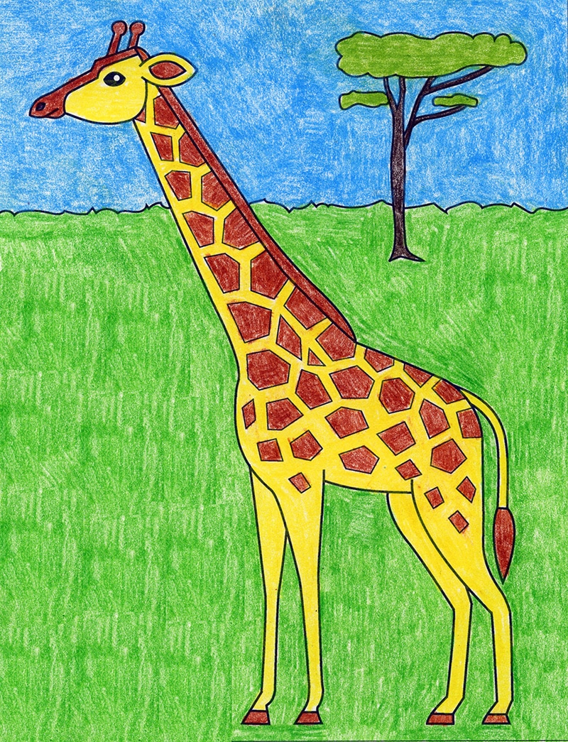 giraffe color pencil drawing