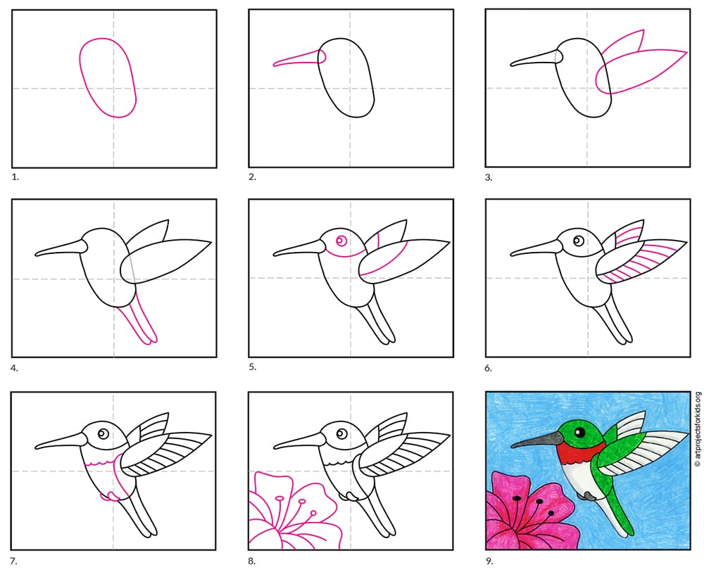 how to draw a hummingbird step by step