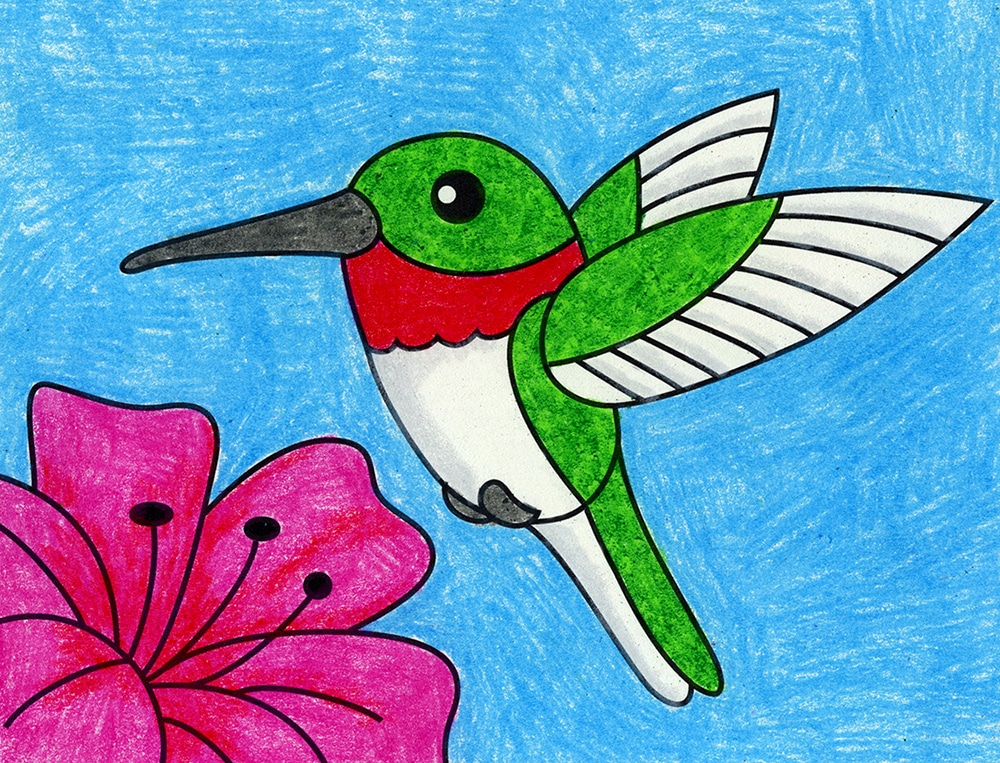 Easy How to Draw a Hummingbird Tutorial Video & Coloring Page