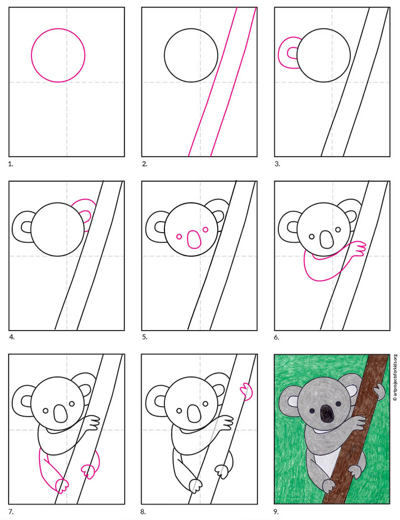 Step Easy Cute Easy Koala Drawing - kripe87