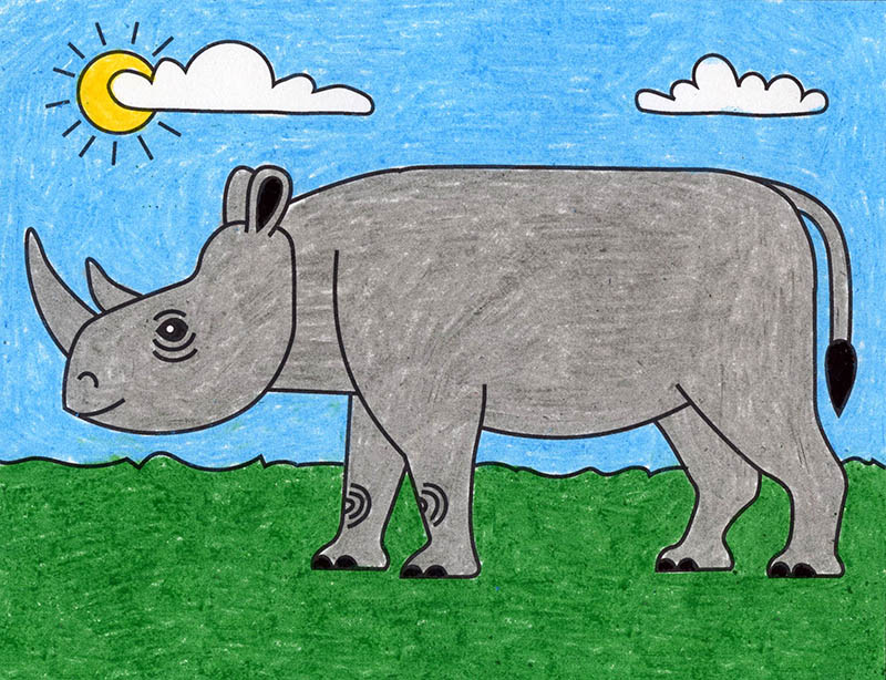 rhinoceros 5 drawings