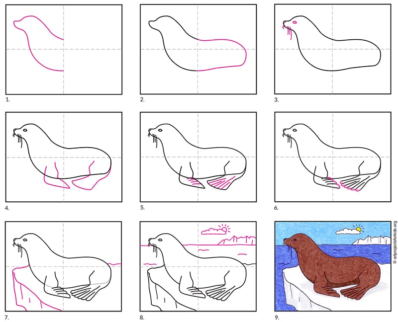 How To Draw A Cute Cartoon Sea Lion Easy Step By Step Sea Lion Images