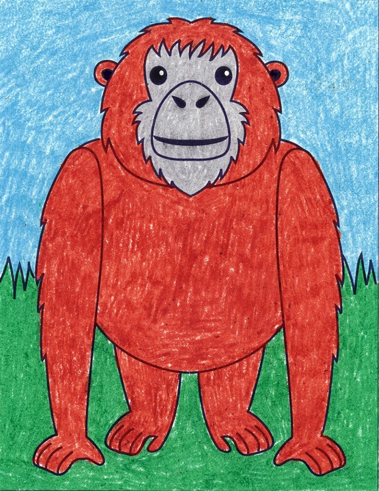 How to Draw an Orangutan · Art Projects for Kids