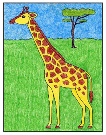 Giraffe 9.jpg