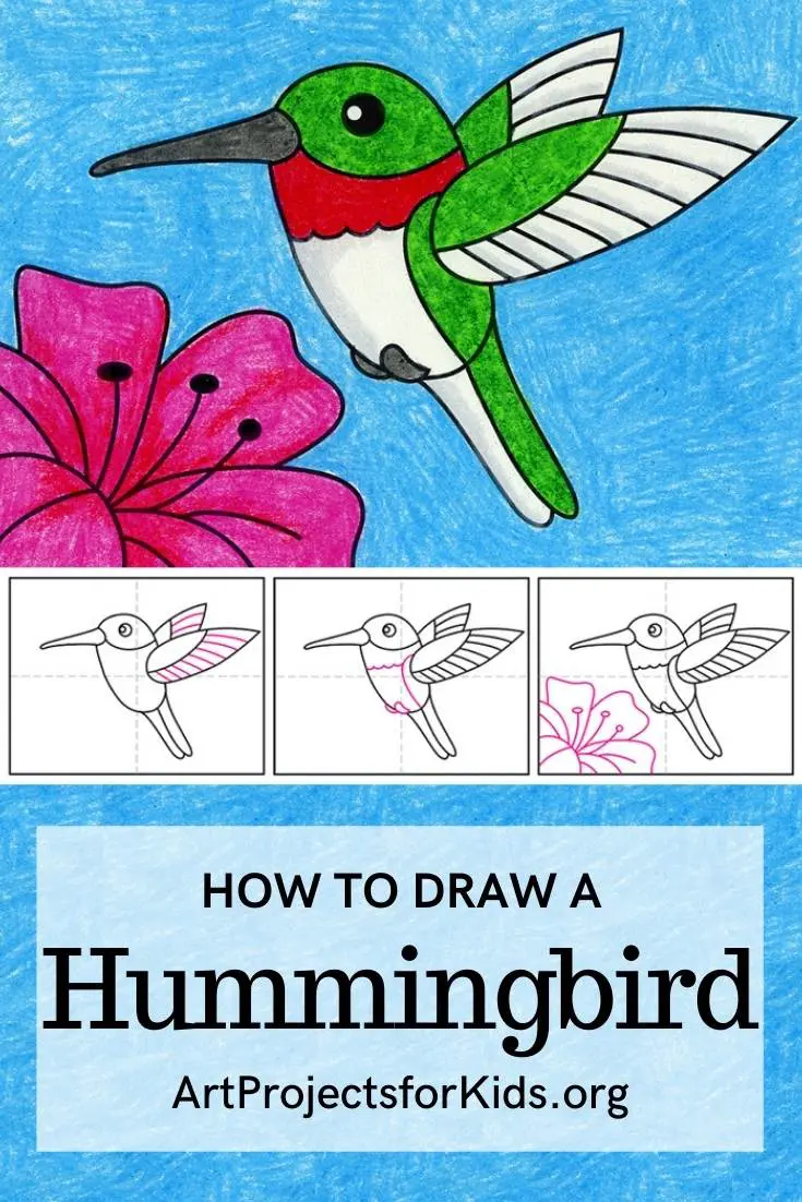 how to draw a hummingbird and flower