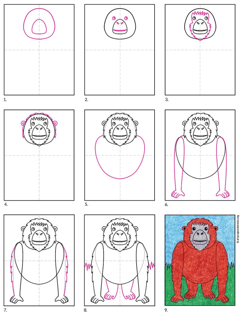 How to Draw an Orangutan · Art Projects for Kids
