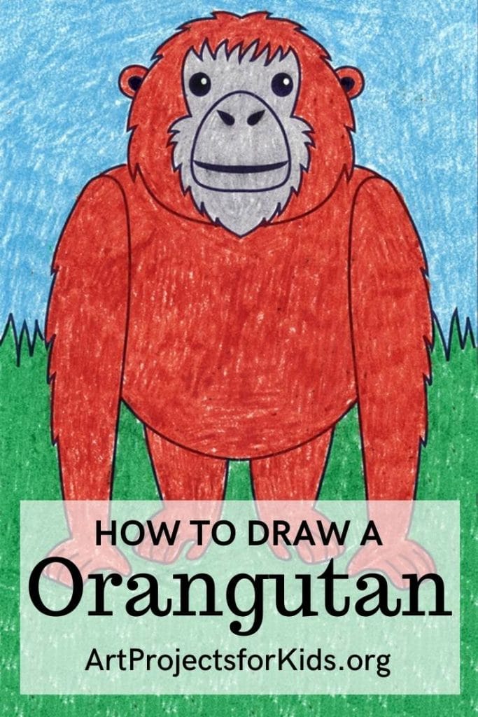 How to Draw an Orangutan