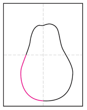 Pear 4 - Hướng dẫn cách Vẽ quả lê đơn giản với 9 bước cơ bản