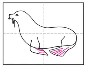 Easy How to Draw a Sea Lion Tutorial and Sea Lion Coloring Page