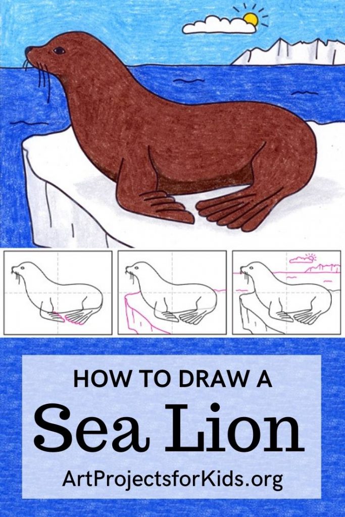 How to Draw a Sea Lion · Art Projects for Kids