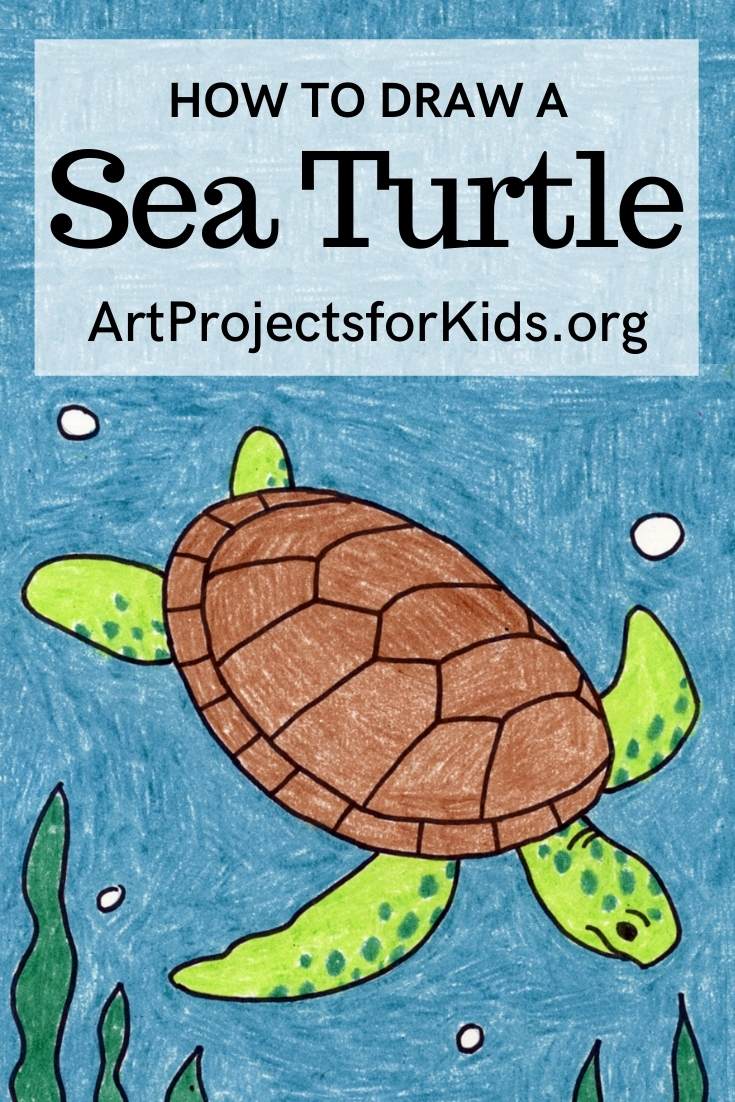 step by step how to draw a turtle How to draw a sea turtle · art ...