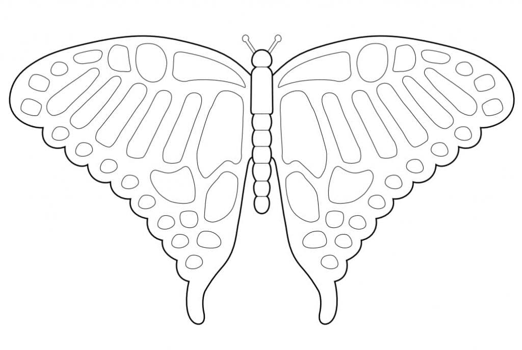 simple butterfly drawing