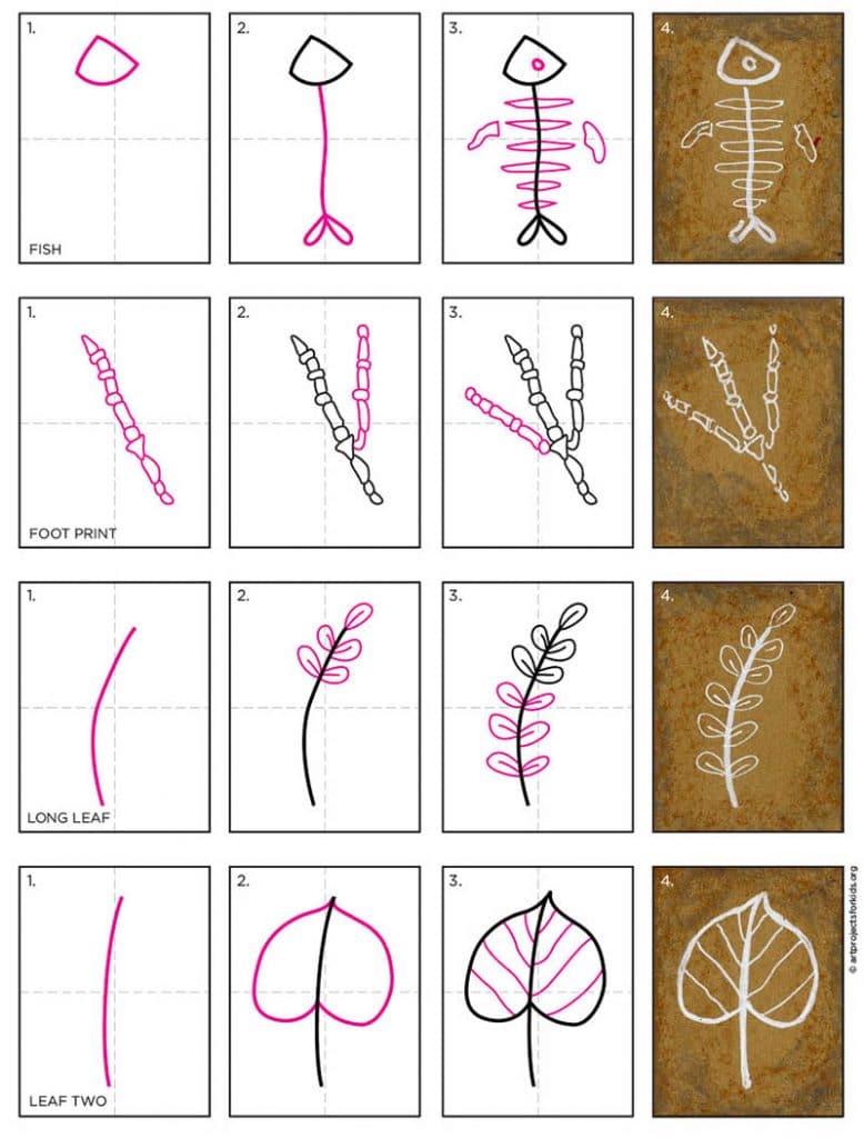 Easy How to Draw a Fossil Tutorial and Fossil Coloring Page · Art