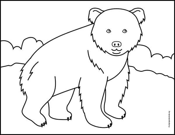 bear drawings for kids