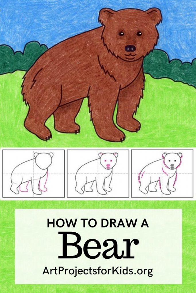 A drawing of a bear, made with the help of an easy step by step tutorial. 