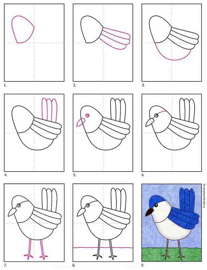 Bird Easy diagram