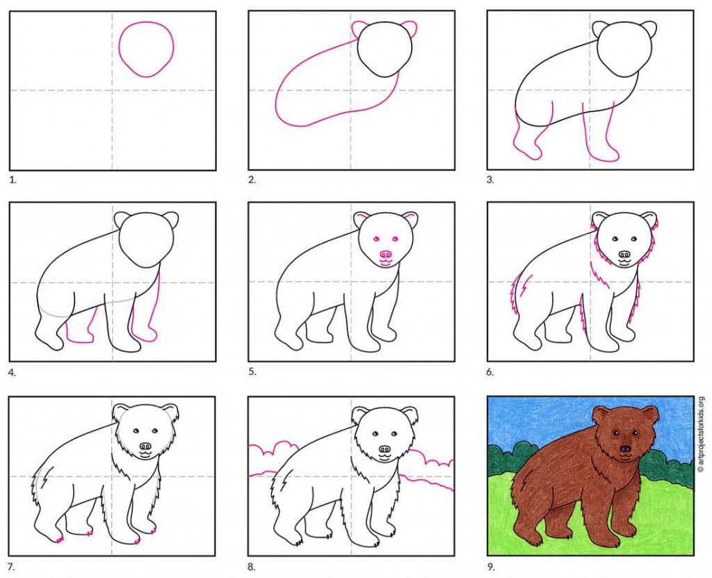 How To Draw Bear For Kids 