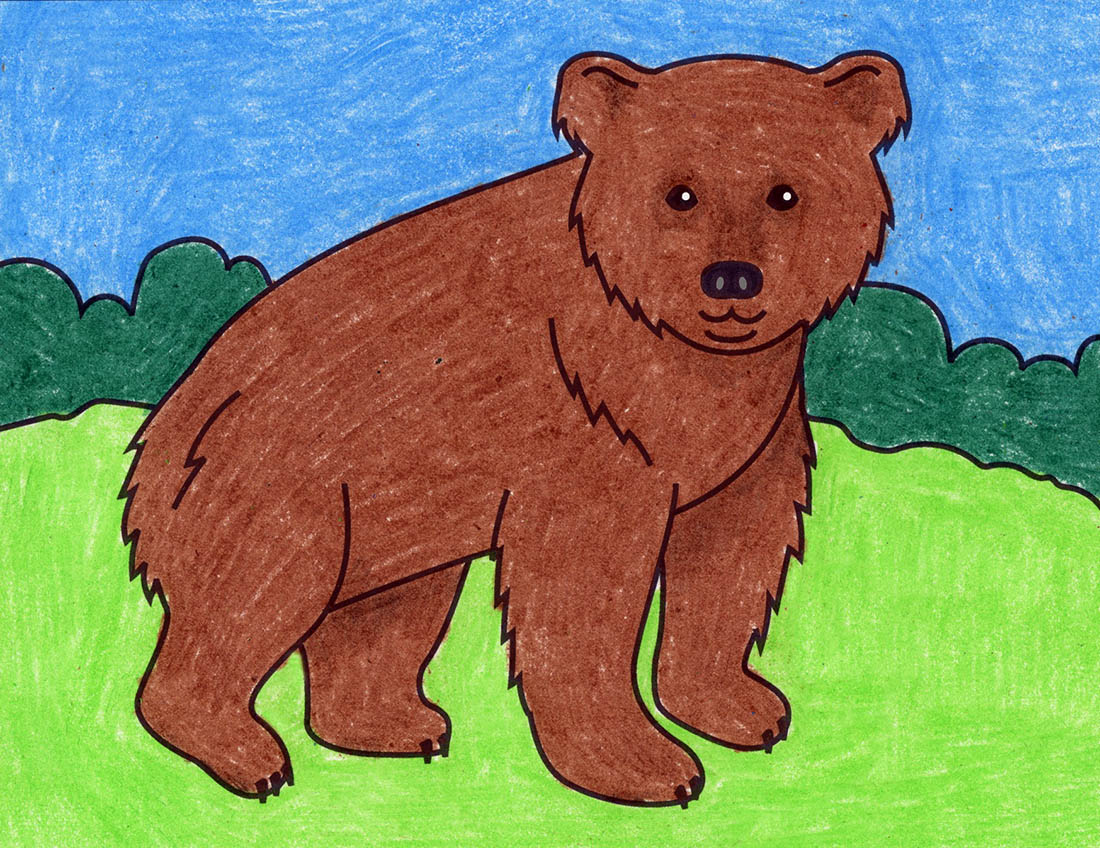 How To Draw A Grizzly Bear For Kids