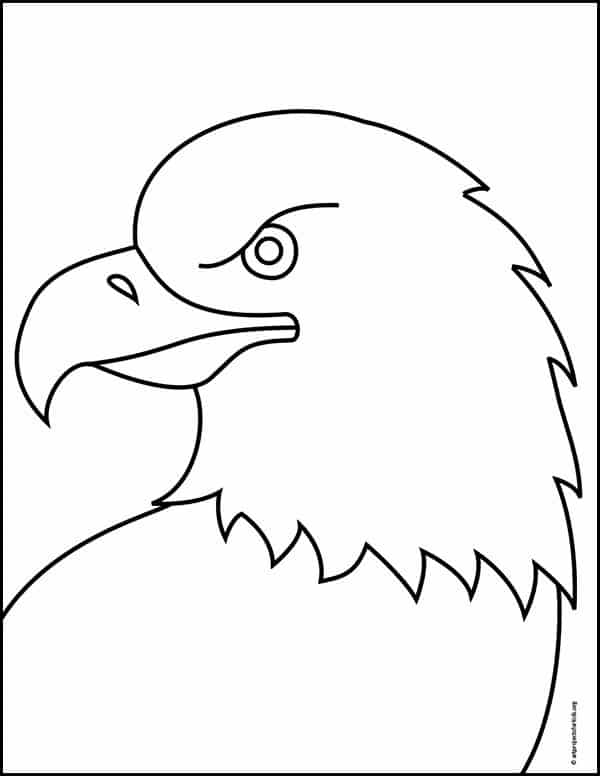 simple eagle head sketch