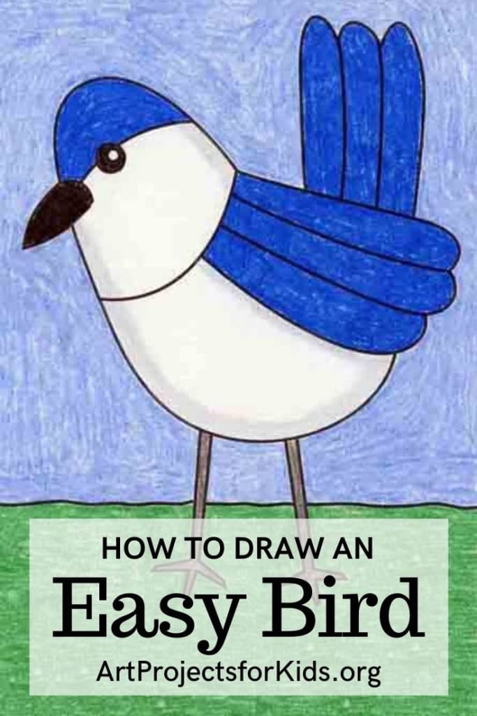 draw an easy bird