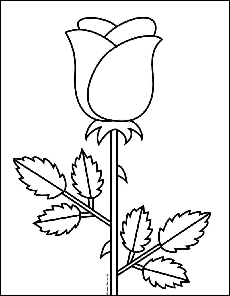 Simple Rose Drawing Outline