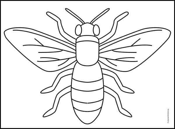 How to Draw a Bee | Bee Coloring Page