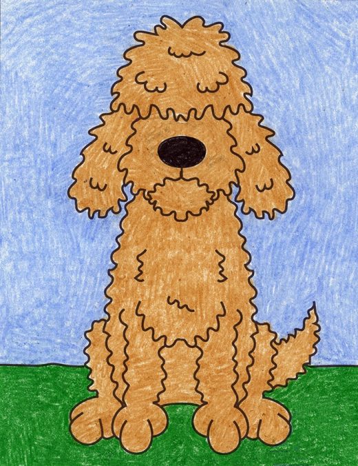 Easy How to Draw a Labradoodle Tutorial · Art Projects for Kids