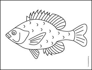 Easy How to Draw a Fish Tutorial Video and Fish Coloring Page