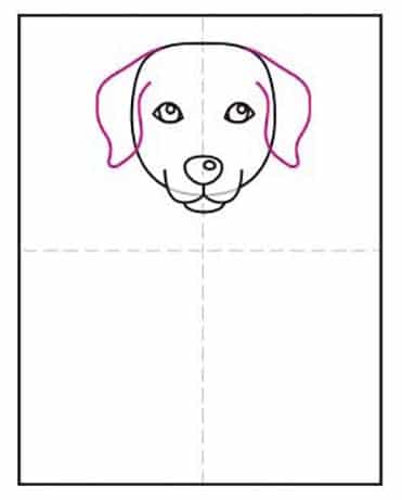 Easy How to Draw a Labrador Tutorial and Labrador Coloring Page