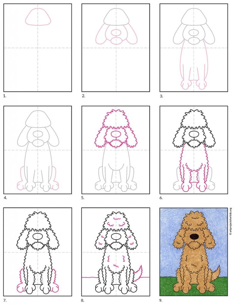 Easy How to Draw a Labradoodle Tutorial · Art Projects for Kids