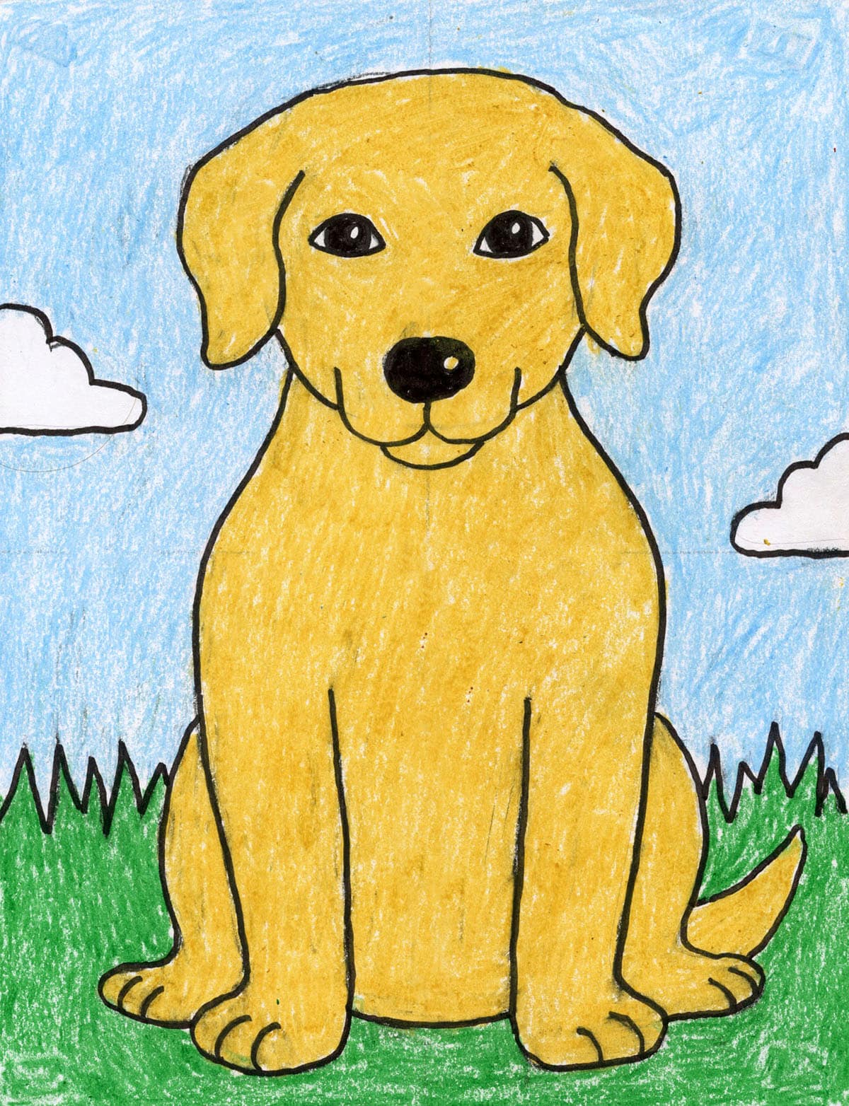 How to Draw a Labrador: Easy Directed Drawing for Kids
