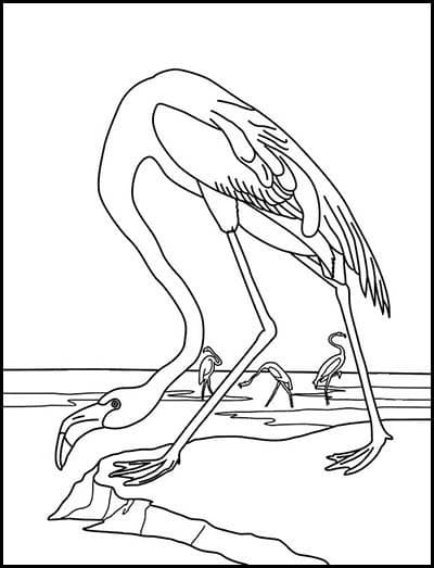 free drawing pictures for kids coloring pages