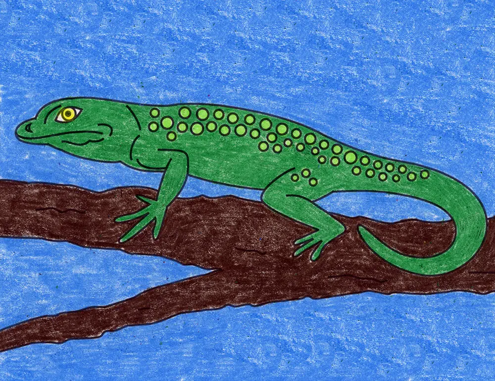 Easy How to Draw a Lizard Tutorial and Lizard Coloring Page