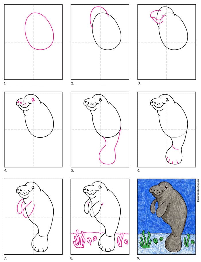 how-to-draw-a-manatee