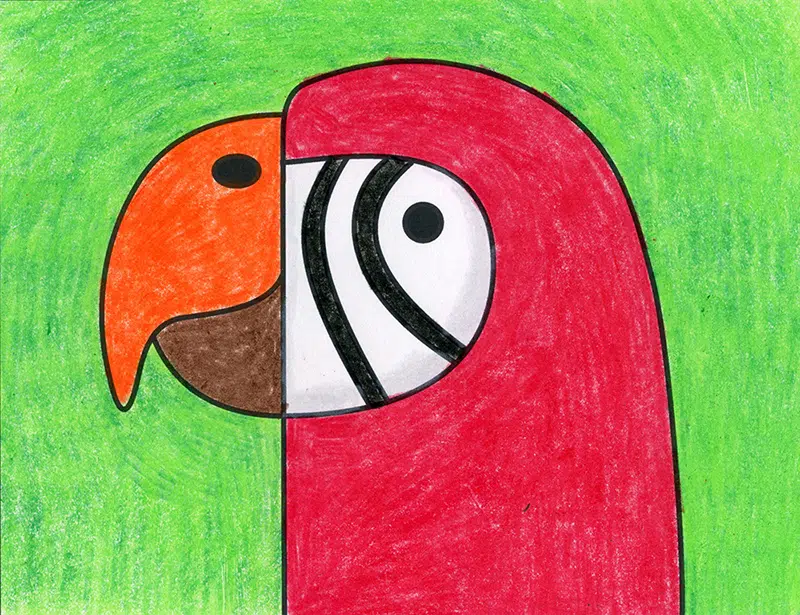 Easy How to Draw a Macaw Tutorial and Macaw Coloring Page